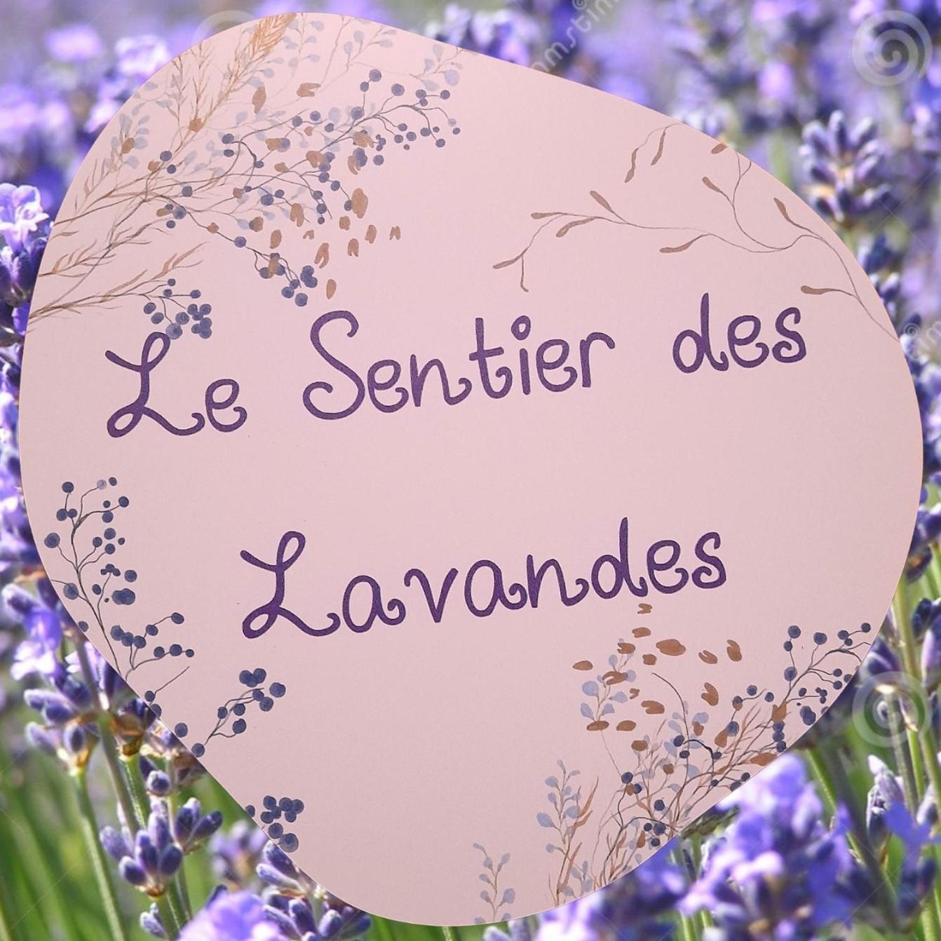 Le Sentier Des Lavandes Врес-сюр-Сьомоа Екстериор снимка